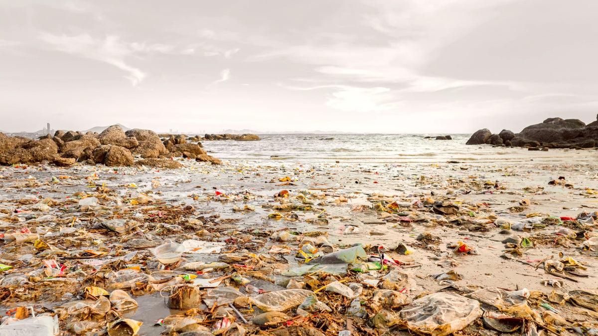 A shoreline covered in plastic waste