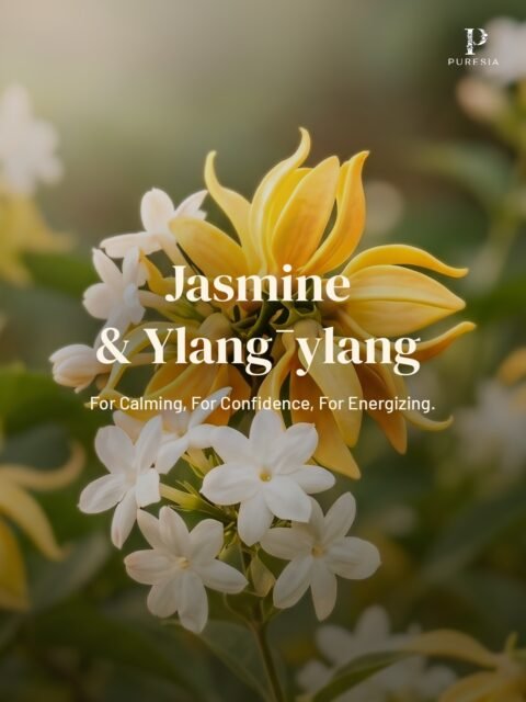 Calming. Confident. Energizing ✨Three ways to elevate your mood with our signature Jasmine & Ylang-ylang blend. Your shortcut to a balanced mind starts here☘️🤍 #puresia #healingrituals #essentialoils #essentialoilblends