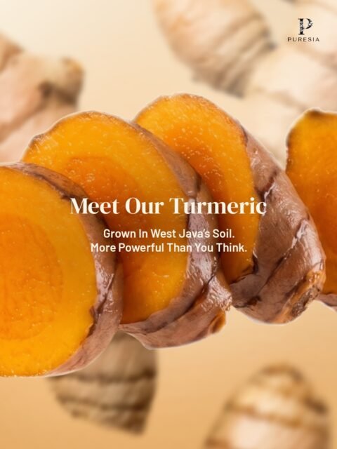 Three Actives. One Root 🧡Cultivated in West Java’s volcanic soil, this is the turmeric that actually works. Experience the rare power of Xanthorrhizol combined with Curcumin for ultimate skin nourishment ☘️✨ #bodycareroutine #bodycareproducts #puresia #healingrituals #turmericginger