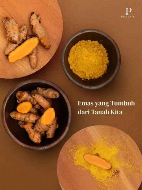 Dari satu akar, lahir banyak ritual.Kunyit tumbuh subur di tanah Jawa. Selama berabad-abad jadi cara keluarga Indonesia merawat diri. Diminum sebagai jamu kunyit asam. Dioles sebagai lulur pengantin, rahasia kulit yang diturunkan antar generasi.Semangat itu yang menginspirasi PURESIA di semua varian terbaru kami. Kehangatan emas yang sama, dalam bentuk rawat diri yang kamu pakai setiap hari. Kulit tampak lebih cerah, terasa lebih halus.Dari tanah kita, untuk kulitmu. 🤎#PURESIAFromOurSoil #PURESIAHealingRituals #NaturalIndonesia