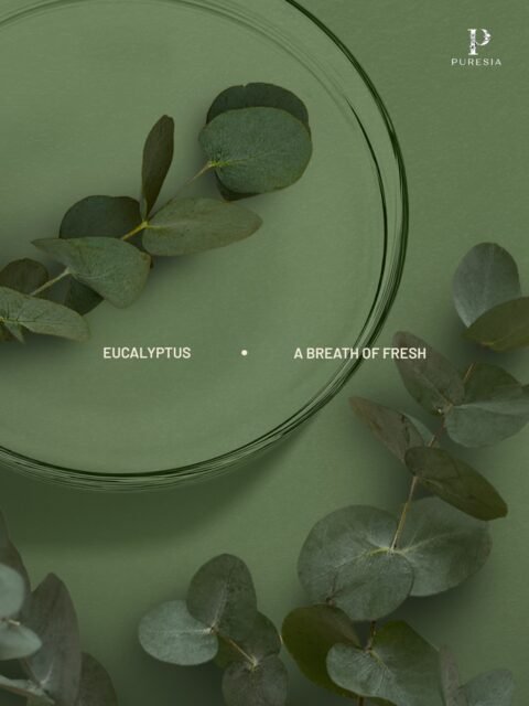 Lightweight. Never greasy. Made to slow you down. 🌿Rosehip, tamanu, and jojoba to leave skin soft and conditioned, eucalyptus and lemongrass to ease the senses.#PURESIAFromOurSoil #MassageOil #PURESIAHealingRituals