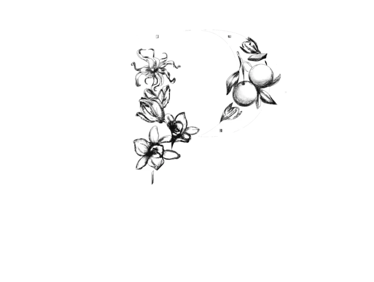 logo-puresia-white